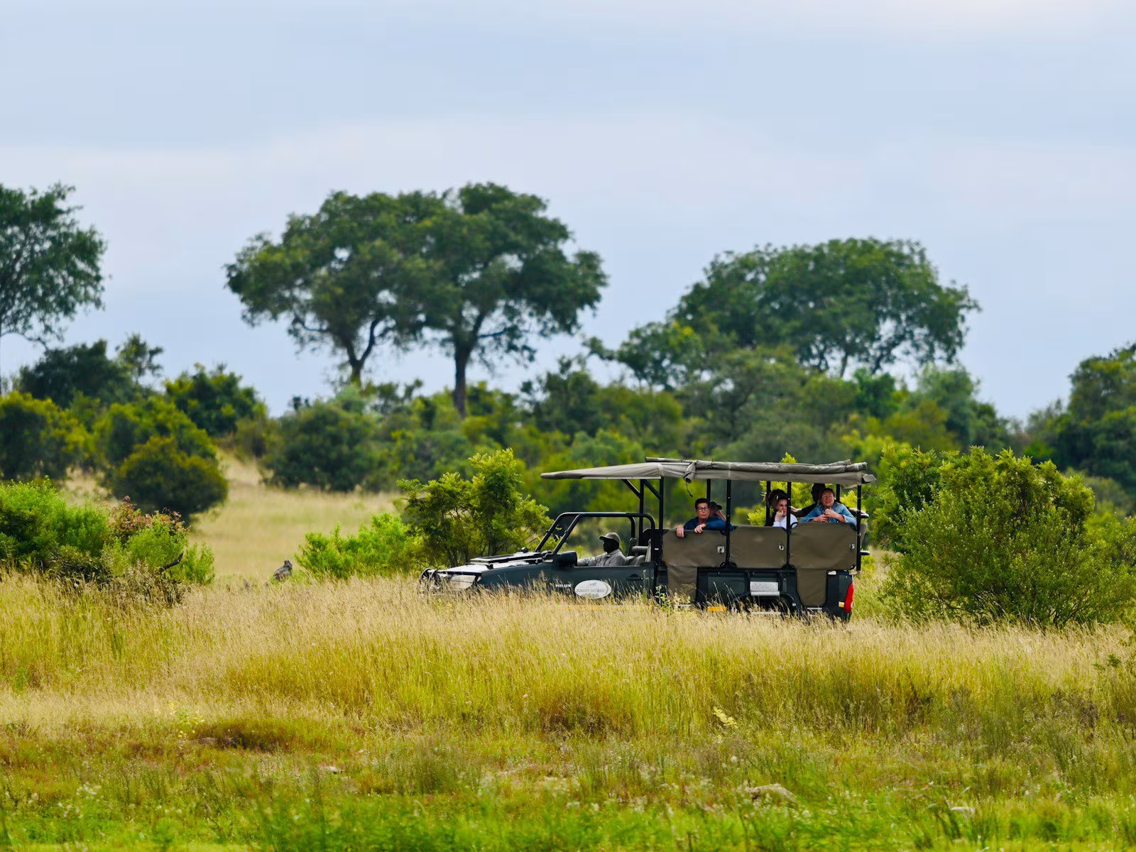 Safari-Pirschfahrt