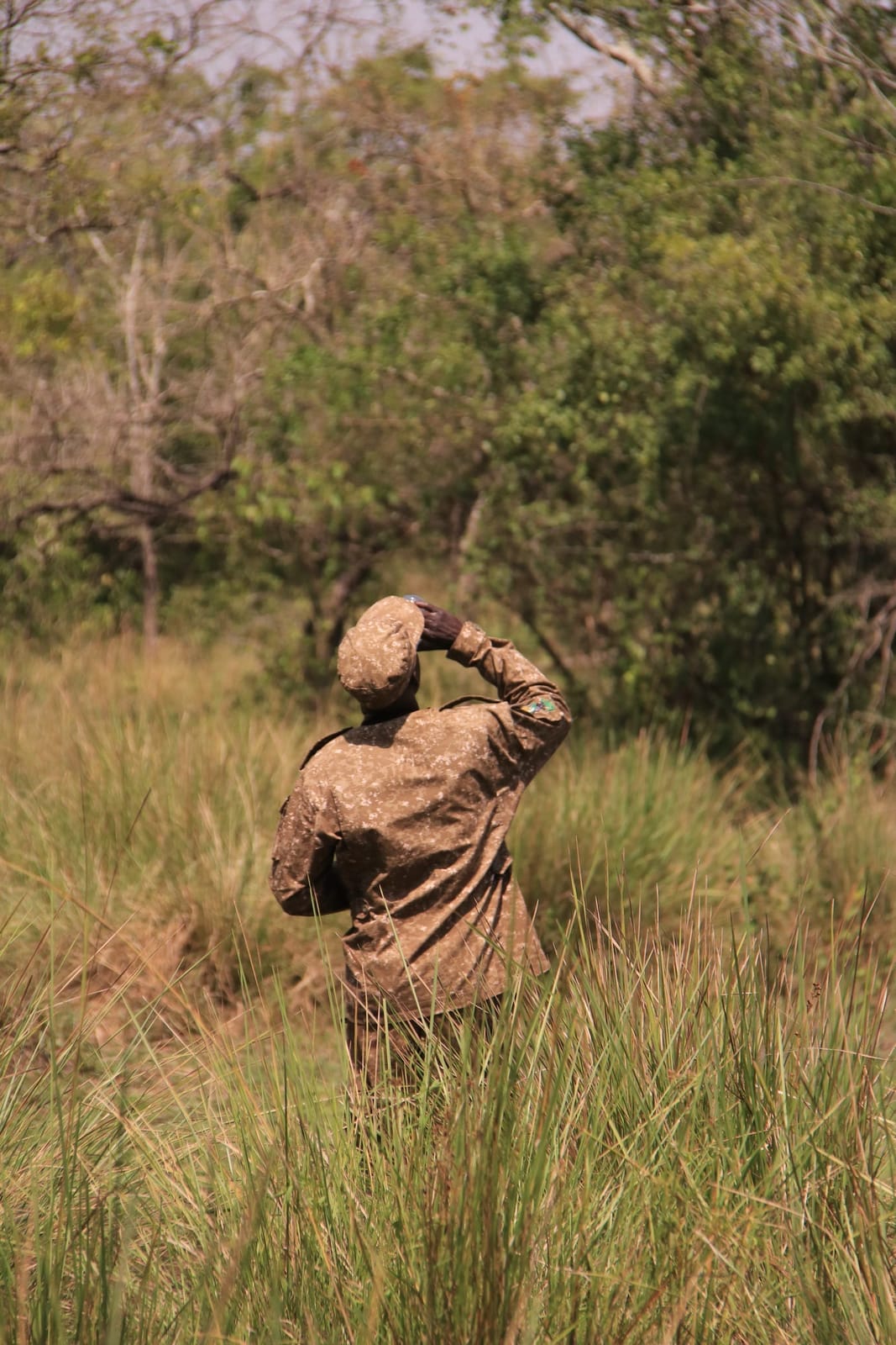 Wandersafari