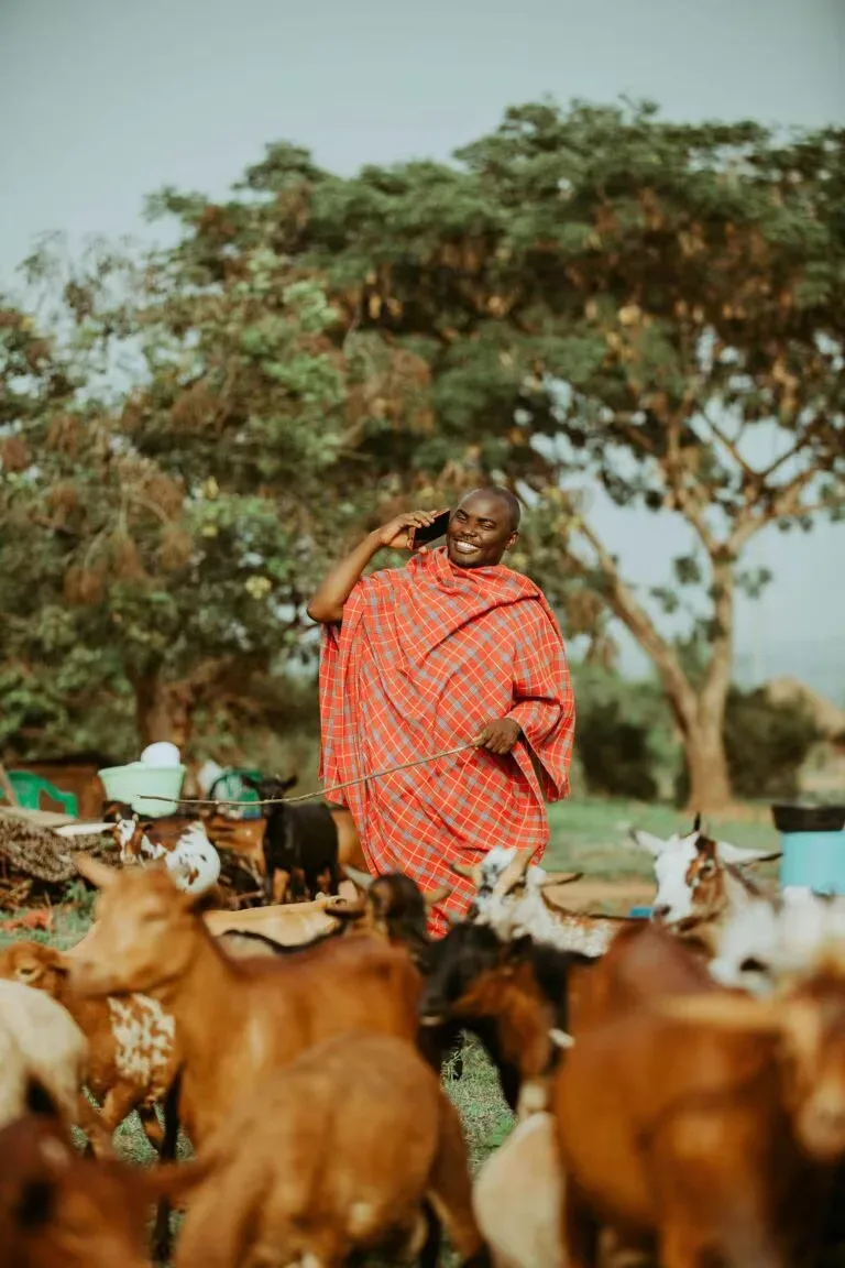 A Karamojong homestead and cattle kraal in northeast Uganda